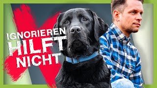 Georg Ringsgwandl live  Mein Hund wird falsch ernährt [upl. by Georgena683]