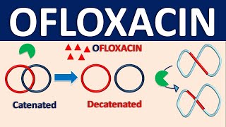 Ofloxacin  Mechanism side effects precautions interactions amp uses [upl. by Blunk]