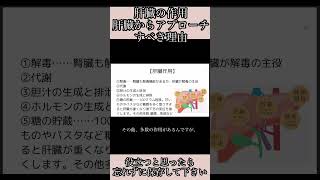 【肝臓の作用】肝臓からアプローチすべき理由、肝臓の解毒作用、腰痛、肩こり、全身症状にも関係 [upl. by Adneral]