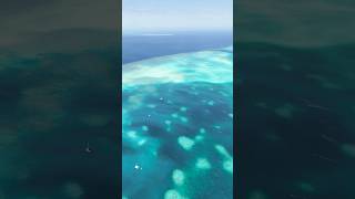 SCOTT Reef 360° Drone View  Sailing KALLI Adventures shorts [upl. by Fronniah]