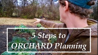 5 Steps to ORCHARD Planning  FRUIT TREE Success [upl. by Olshausen597]