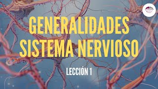 1 GENERALIDADES SISTEMA NERVIOSO FISIOLOGÍA DEL SISTEMA NERVIOSO [upl. by Nirro]