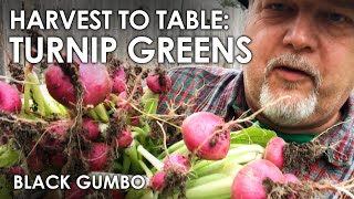 How to Cook Southern Turnip Greens  Black Gumbo [upl. by Aibsel]