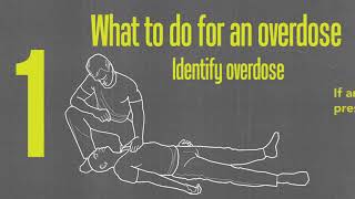 Opioid Overdose Response Kit Narcan® Training Video [upl. by Ibor]