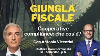 Cooperative compliance che cos’è  Giungla Fiscale  Ep 2 con A Vicentini [upl. by Courtland834]