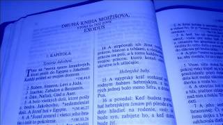 2 Svätá Biblia  Exodus  2 Mojžišová kniha [upl. by Aldin699]