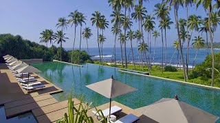 AMANWELLA BEST LUXURY RESORT IN SRI LANKA PARADISE [upl. by Ecirpak583]