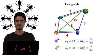 How the Ant Colony Optimization algorithm works [upl. by Reaht983]