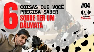 Coisas Que Você Precisa Saber Sobre Ter Um Dálmata l curiosidades e comportamentos comuns da raça [upl. by Riorsson]