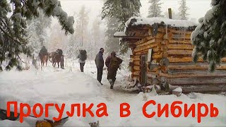 Прогулка в Сибирь В тайгу без ружья Верховье реки Лена  The Journey to Siberia [upl. by Schoof]