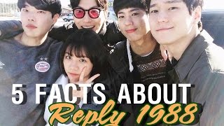 Reply 1988  5 Facts That You Might Dont Know [upl. by Nalo]