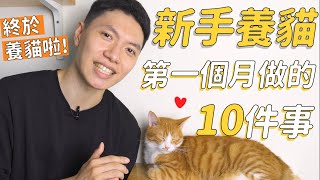 新手養貓第一個月做的10件事！我們終於領養貓咪啦🐈 [upl. by Nnadroj]