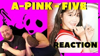 APINK FIVE REACTION VIDEO NEXT LEVEL FANBOY [upl. by Mages312]