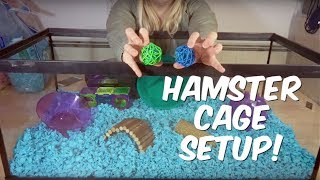 HOW TO SET UP A HAMSTER CAGE [upl. by Herbert]