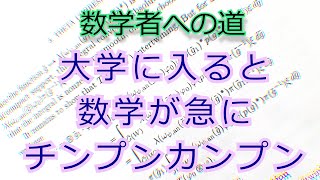 大学に入ったら数学が突然難しくなる理由。日本の数学科の問題点。 [upl. by Weber]