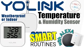 YoLINK Temperature Sensor  How I use YoLINK Temperature amp Humidity Sensor with ALEXA Routines [upl. by Ginny]