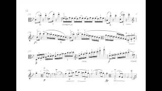 F Schubert Arpeggione  New Transcription for Viola and Piano [upl. by Nawj]