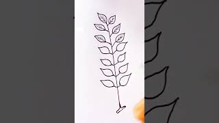 How do you draw pinnately compound leaf [upl. by Aicenert55]