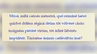 Virgilio Eneide Proemio libro I versi 133 LETTURA METRICA Reading of Vergil Aeneid I 133 [upl. by Akaya]