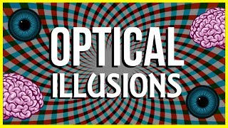 How and Why do Optical Illusions Work [upl. by Siravrat]