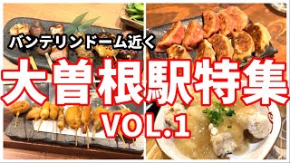 【大曽根駅周辺グルメ特集VOL1】バンテリンドームも近い‼居酒屋中心に４店紹介【名古屋おすすめグルメVOL64】名古屋グルメ グルメ [upl. by Maccarthy]