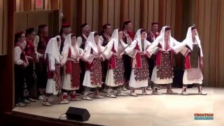 VELA LUKA CROATIAN DANCE ENSEMBLE VRLICKO KOLO [upl. by Clapper]