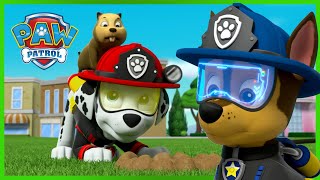 《汪汪队立大功》之终极救援，团队作战！ PAW Patrol 汪汪隊立大功  兒童卡通 [upl. by Mellman]