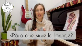 6 PLIEGUES VOCALES ¿Se pueden sentir  Lic Sofía Inés Solari [upl. by Ainiger823]