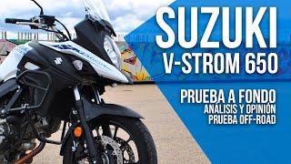 SUZUKI VSTROM 650 ✊🔥 PRUEBA a Fondo Análisis y Opinión [upl. by Naesed194]