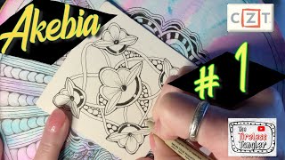 AKEBIA  100 Days of Zentangle ® 2021  Easy Zentangle Patterns for Beginners [upl. by Notsur]