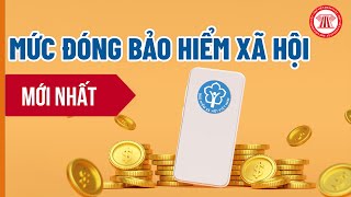 Mức Đóng Bảo Hiểm Xã Hội Mới Nhất  THƯ VIỆN PHÁP LUẬT [upl. by Asiela531]