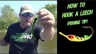 How To Hook a Leech Fishing Tip [upl. by Aleacem441]