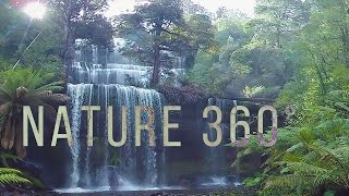 Virtual Nature 360°  Nature Meditation for VR Quest [upl. by Lolanthe173]