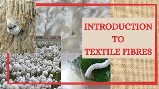 Introduction To Textile Fibres What Is A Textile Fibre What Is Fibre Textile Raw Material [upl. by Hsekar]