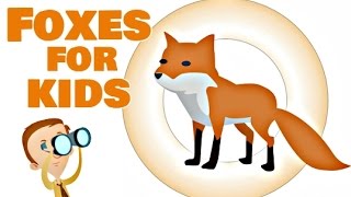 Foxes for Kids [upl. by Handel446]