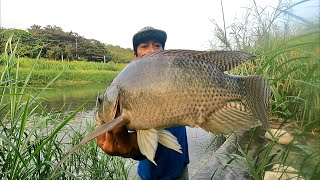 Mancing Ikan Nila Babon Liar Terbanyak [upl. by Uzzi]