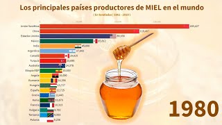 Los principales países productores de MIEL en el mundo [upl. by Plath628]