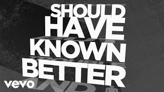 Hinder  Should Have Known Better Official Lyric Video [upl. by Serena]