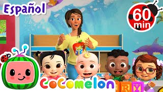 La canción de la Maestra  ¡CoComelon  Canciones Infantiles en Español Latino [upl. by Vonni782]