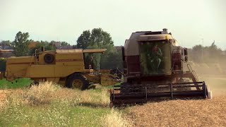 Fiatagri Laverda 3790 amp New Holland TX 34 vintage combine harvester  Trebbiatura grano [upl. by Tillford]