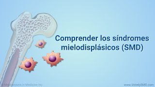 Comprender los síndromes mielodisplásicos SMD [upl. by Julina]