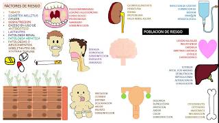 Candida albicans Candidiasis [upl. by Adnolaj]