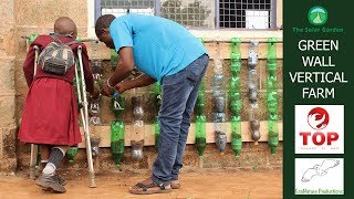 The Green Wall Vertical Farm  How to Grow an Urban Food Garden  Kenya Sustainable Agriculture [upl. by Kelson]