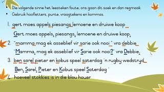 Gr 3 Les 7 Afrikaans Leestekens td kry n jie begripstoets [upl. by Mercola]