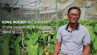 Kong Moeurn président d’une coopérative agricole dans le sud du Cambodge [upl. by Ermine]