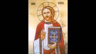 Father Antonious Tanios English Coptic Orthodox Liturgy [upl. by Nomis]