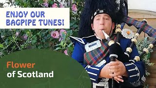 Flower of Scotland  Bagpipe Tunes ⭐⭐⭐⭐⭐ [upl. by Nnylasor488]