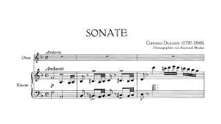 Gaetano Donizetti  Oboe Sonata in F Major A 504 [upl. by Arac]