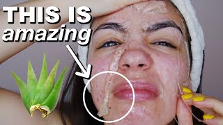 6 Overnight ALOE VERA masks for clear glowing skin  Overnight Face Mask [upl. by Karia734]