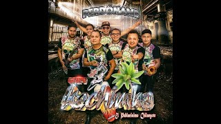 Grupo Kachimba  Rasca Bonito [upl. by Stevy]